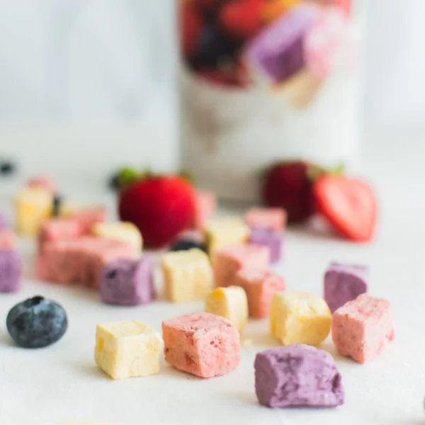 Fruit Probiotic Yogurt Cube 80g